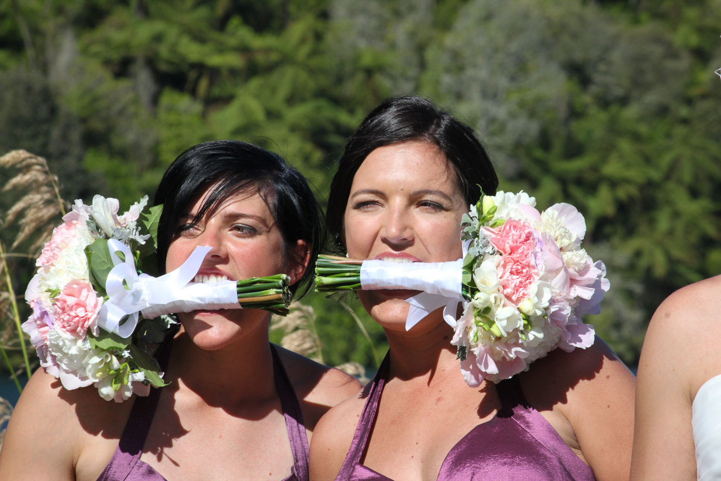 6d04f08845252dbf084c03b4b61279b6