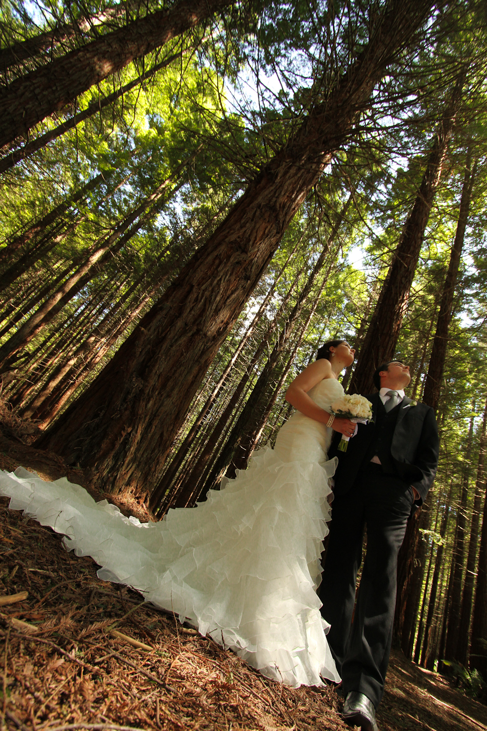 db48bef70a746903966de57ad7c617b1