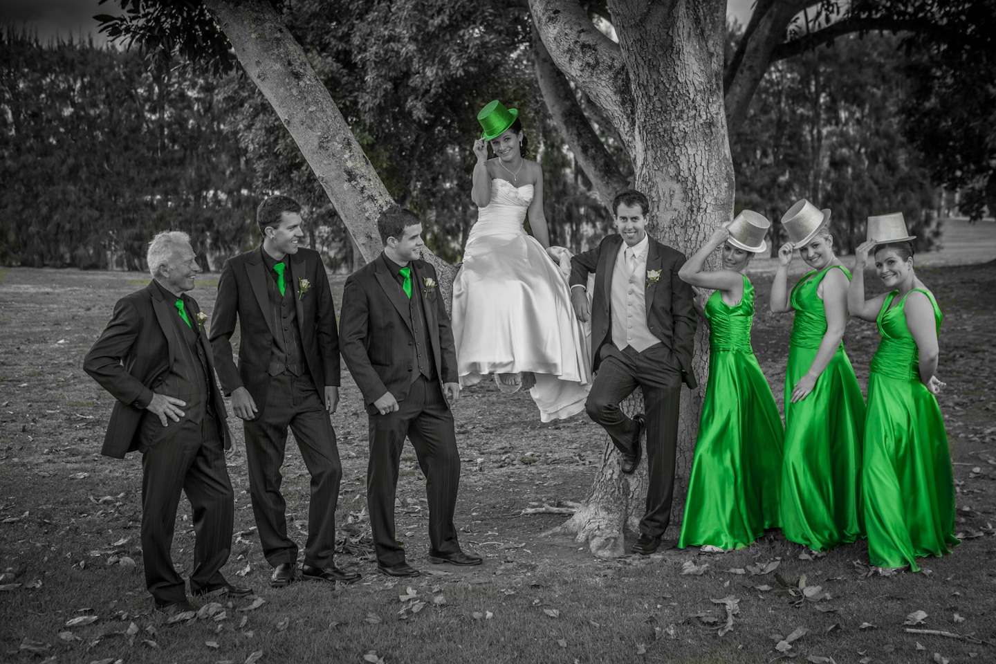 c87619cc049a5ef235ae0aeca63597ba