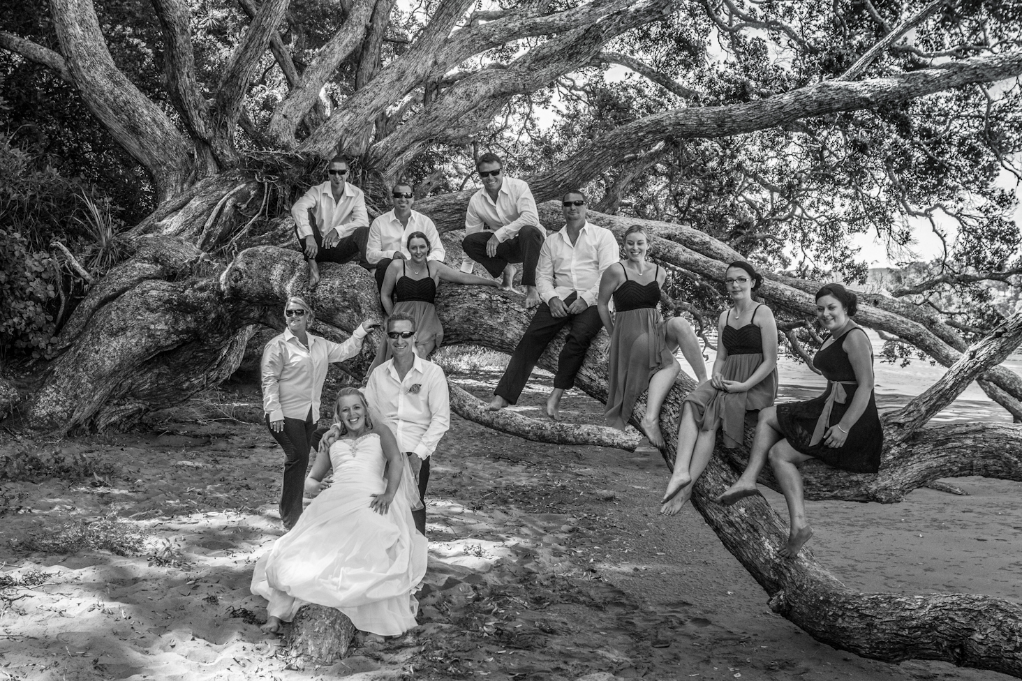 5dc9d64d263b1a9da97021bbdfa99692