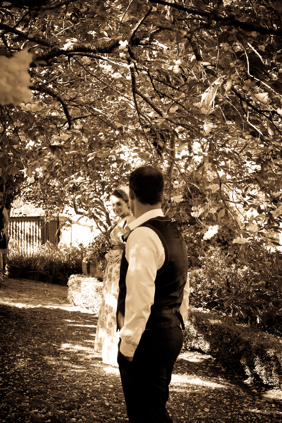 08831fee8fc20292141256233ed85a8c