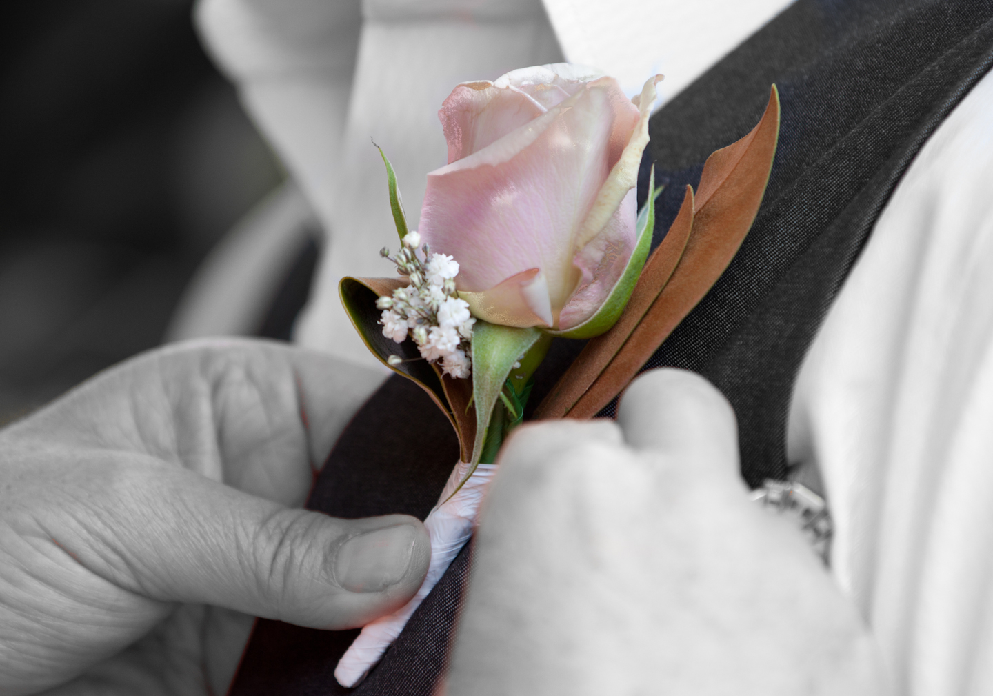 5839d3bd9d1288dbe227141a8d368af9