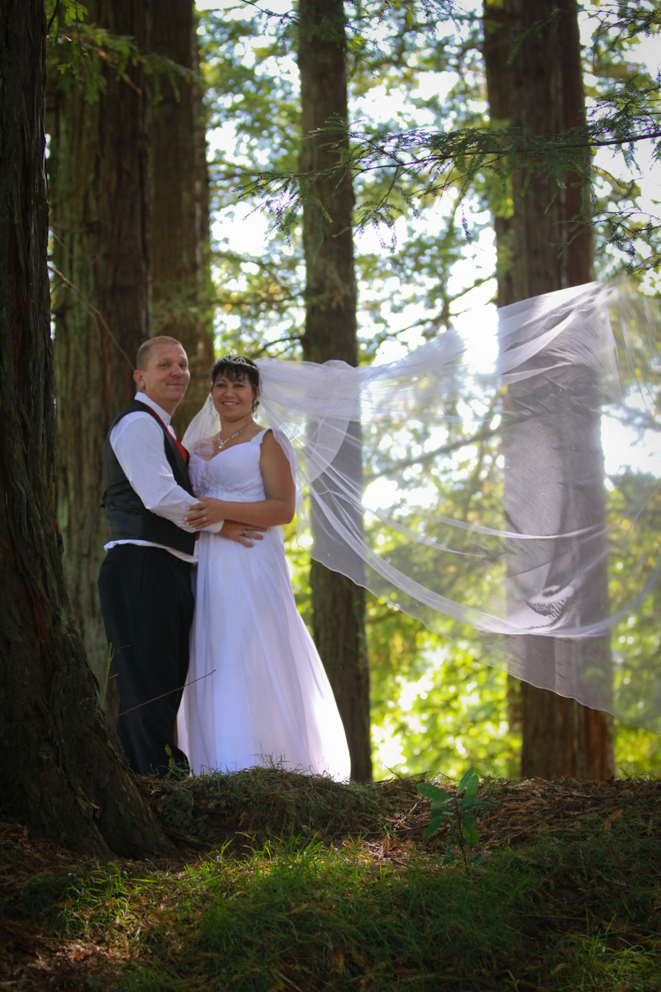 0aadf6e6df4fc77f23bef8a56603e619