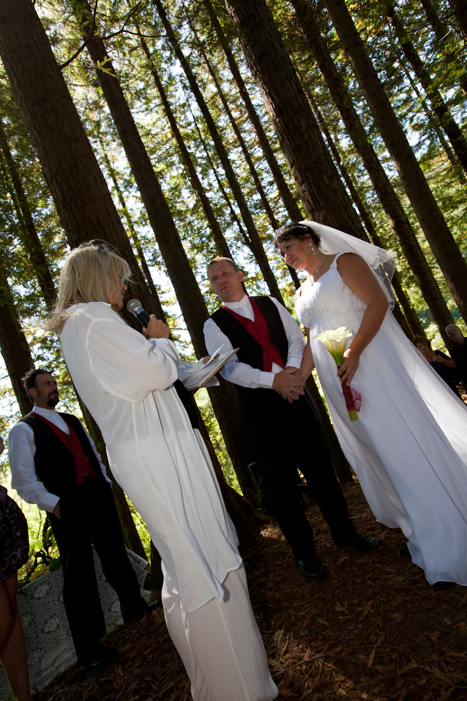 176545389d75ab663c5e24bfe8e5d159