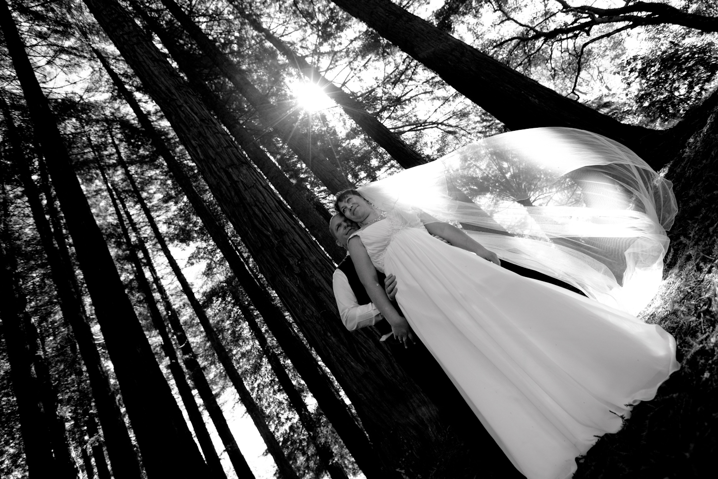 212eb0870d5d1eaff9c38ffe601c0183