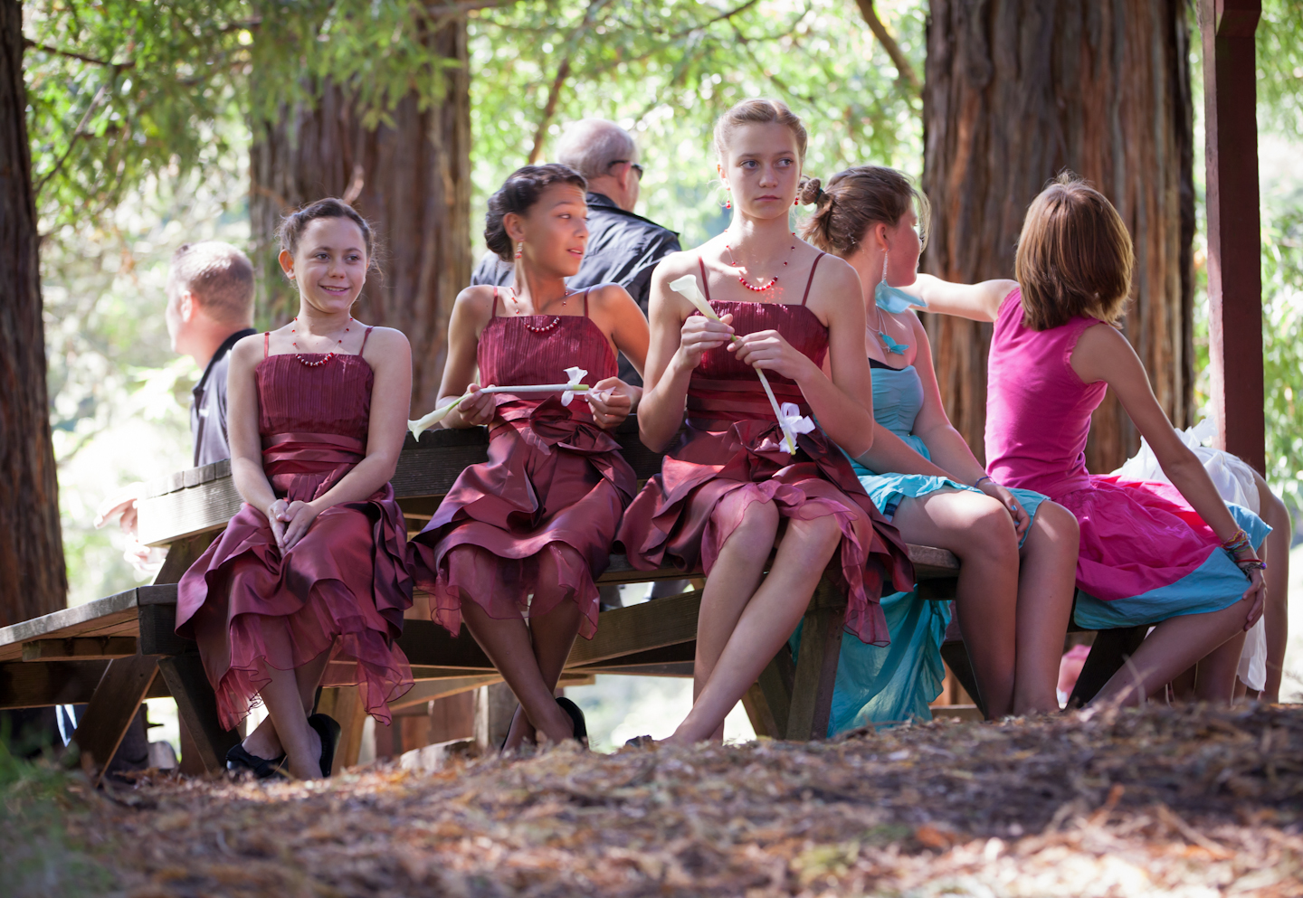 2460dc129a49c51ce8a332f121db6772