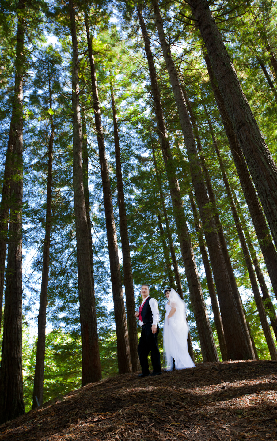 3f2da8904ea5752823a2c7747dbe7abd