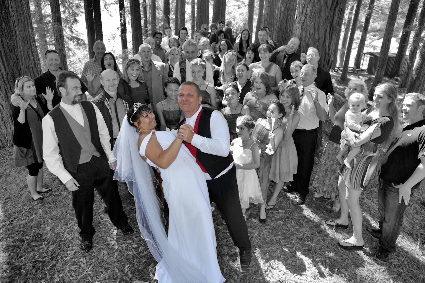 cc2d1852ad34dfc94a3fa55b6fc26200