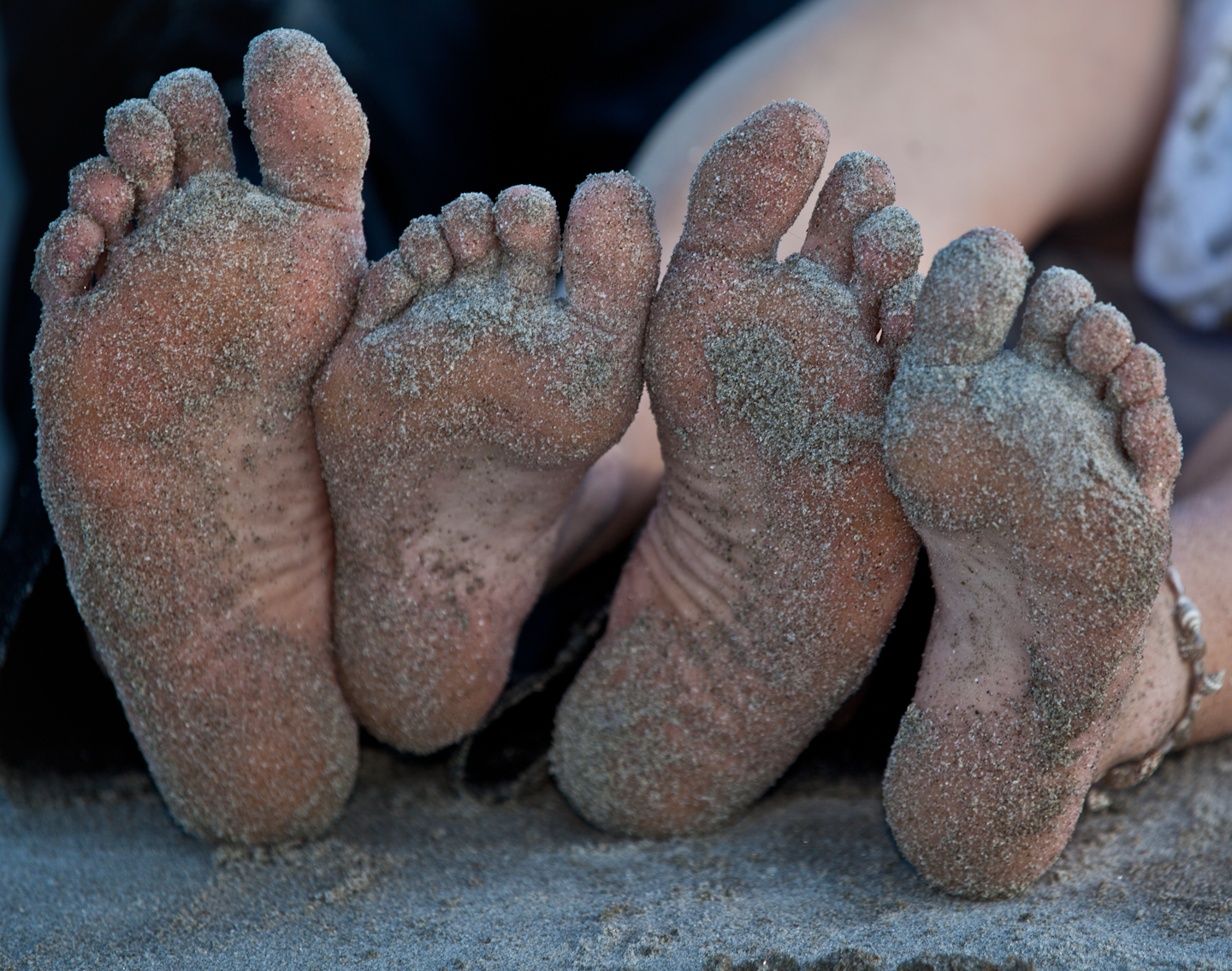 c8e5b00a3e848b6407e3e50d99e3839f