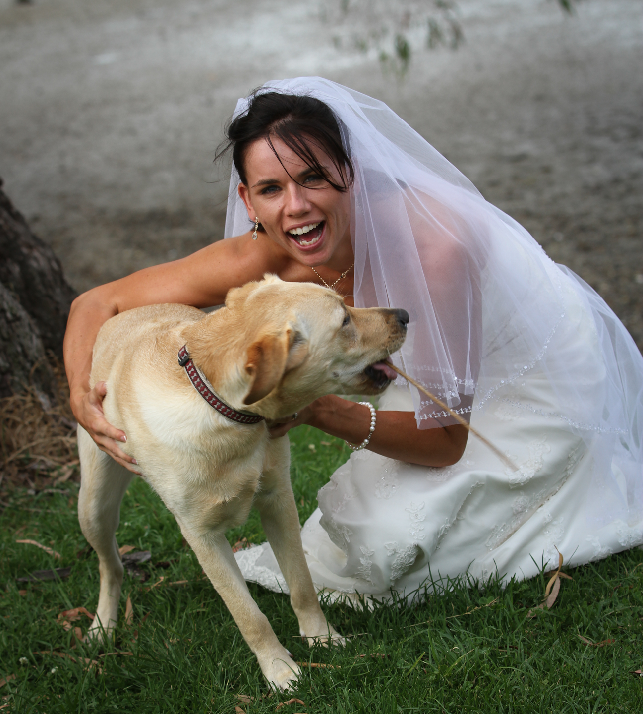 1e302813252e2b1e74ce1b71081eb37b