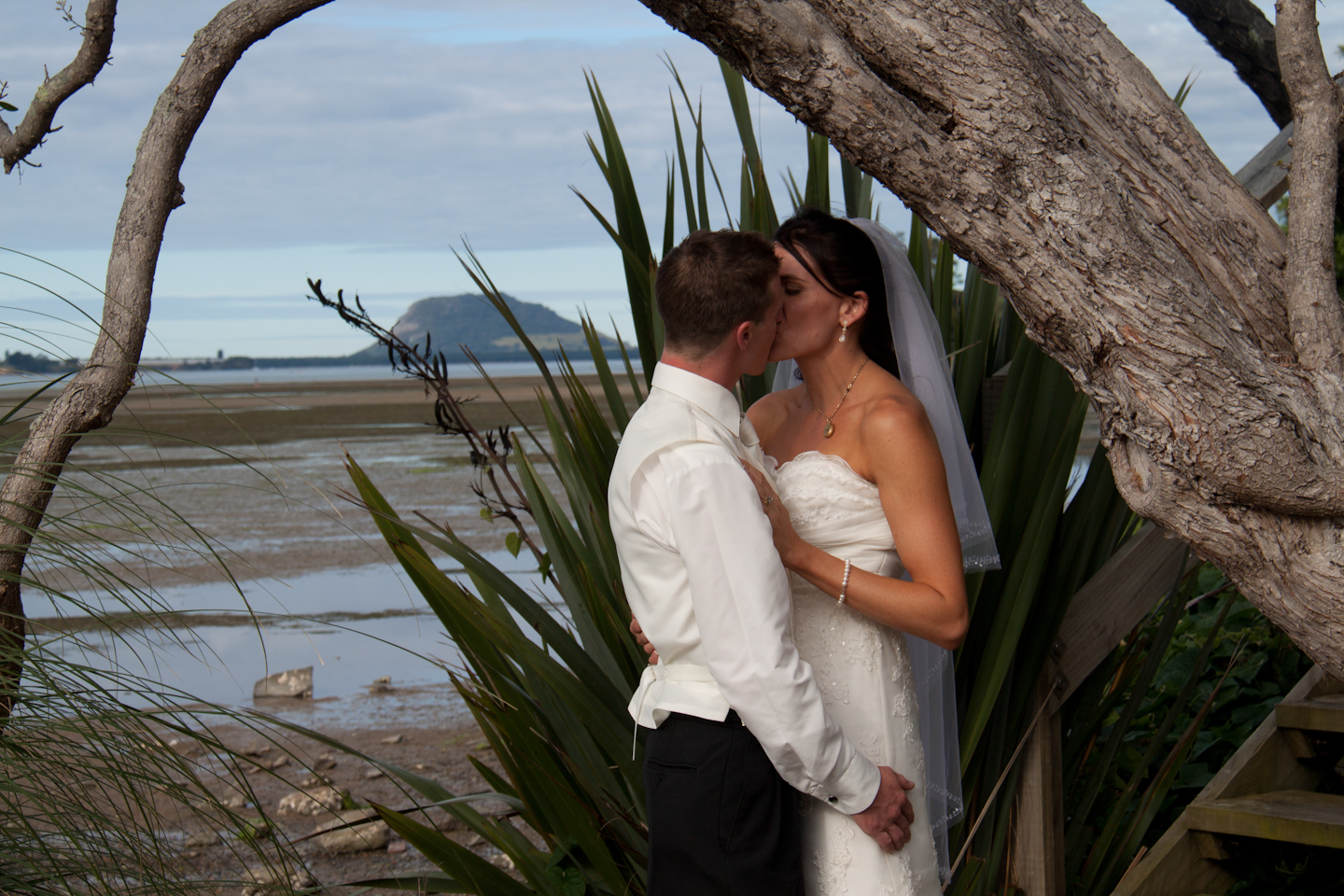 2c5671f61cd44a2a9cfeb5ea3d3db4dc