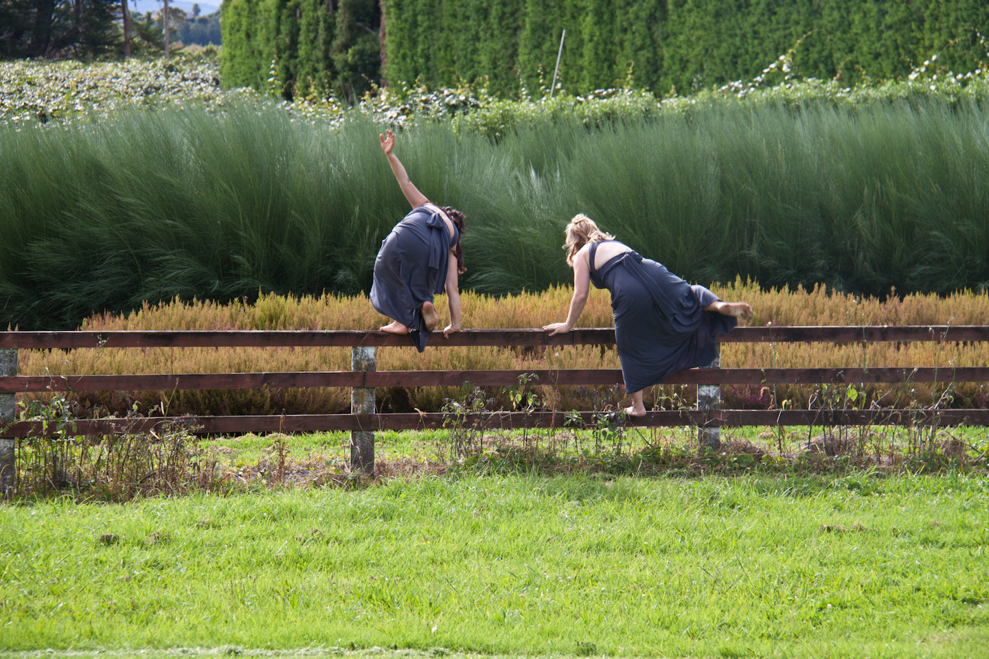 3953f62baed976dec98c1b0935745977