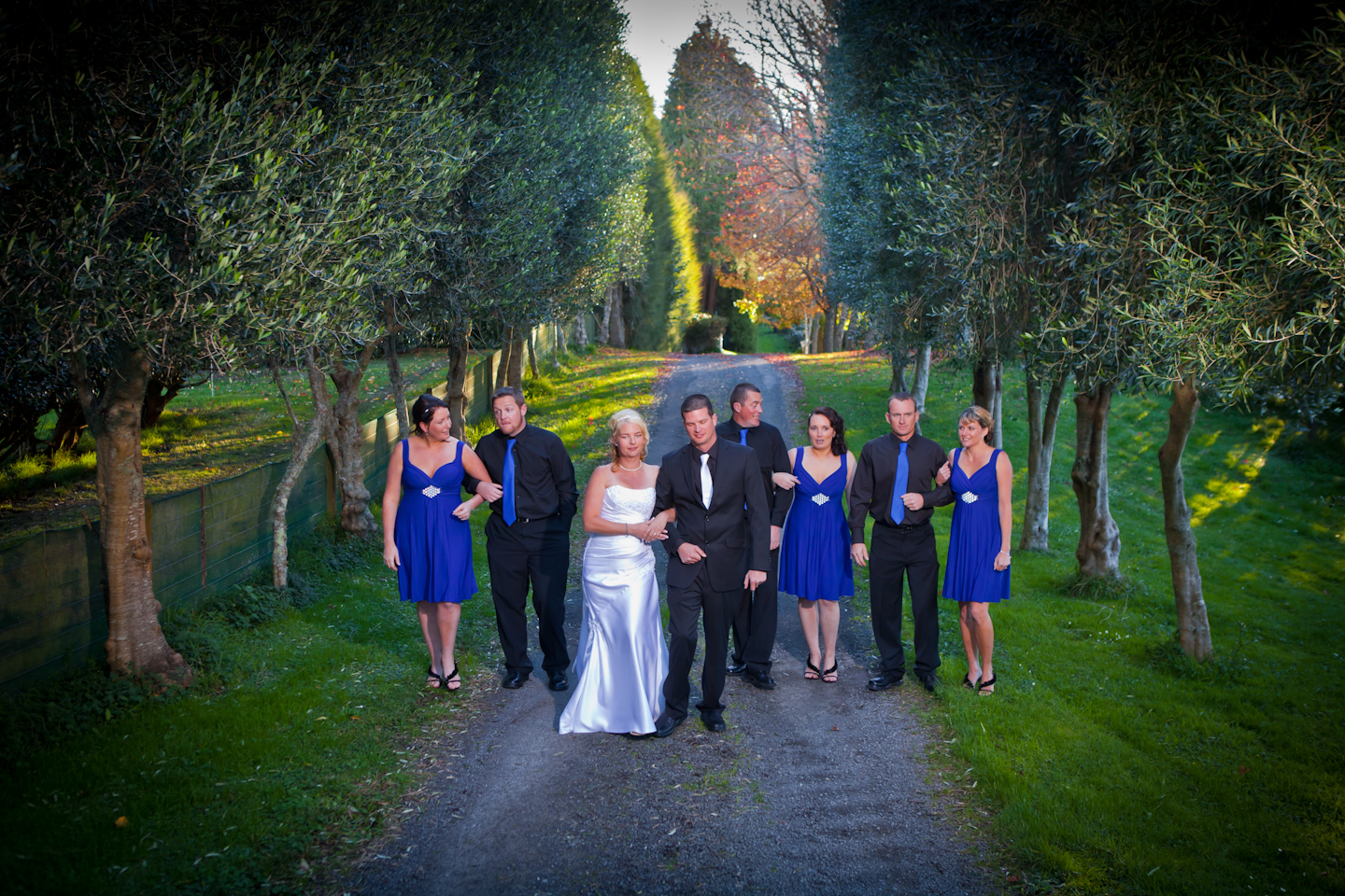 1e3a85459b41619e183db33bfbd44806