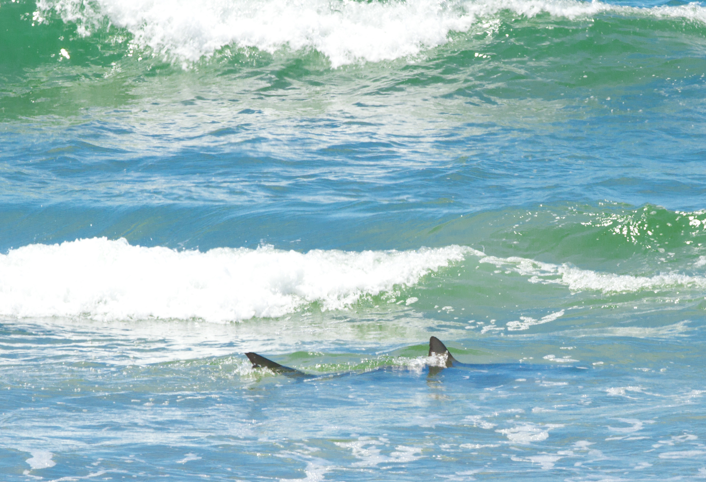 6c5482c7273bc963fcb52825a56bc608