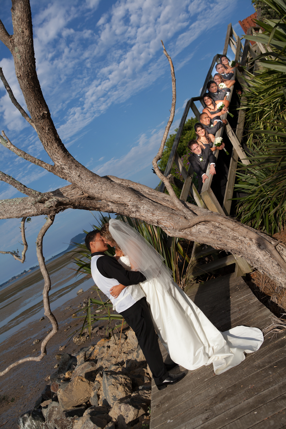 3131661233b2ee8715b74752682c4809