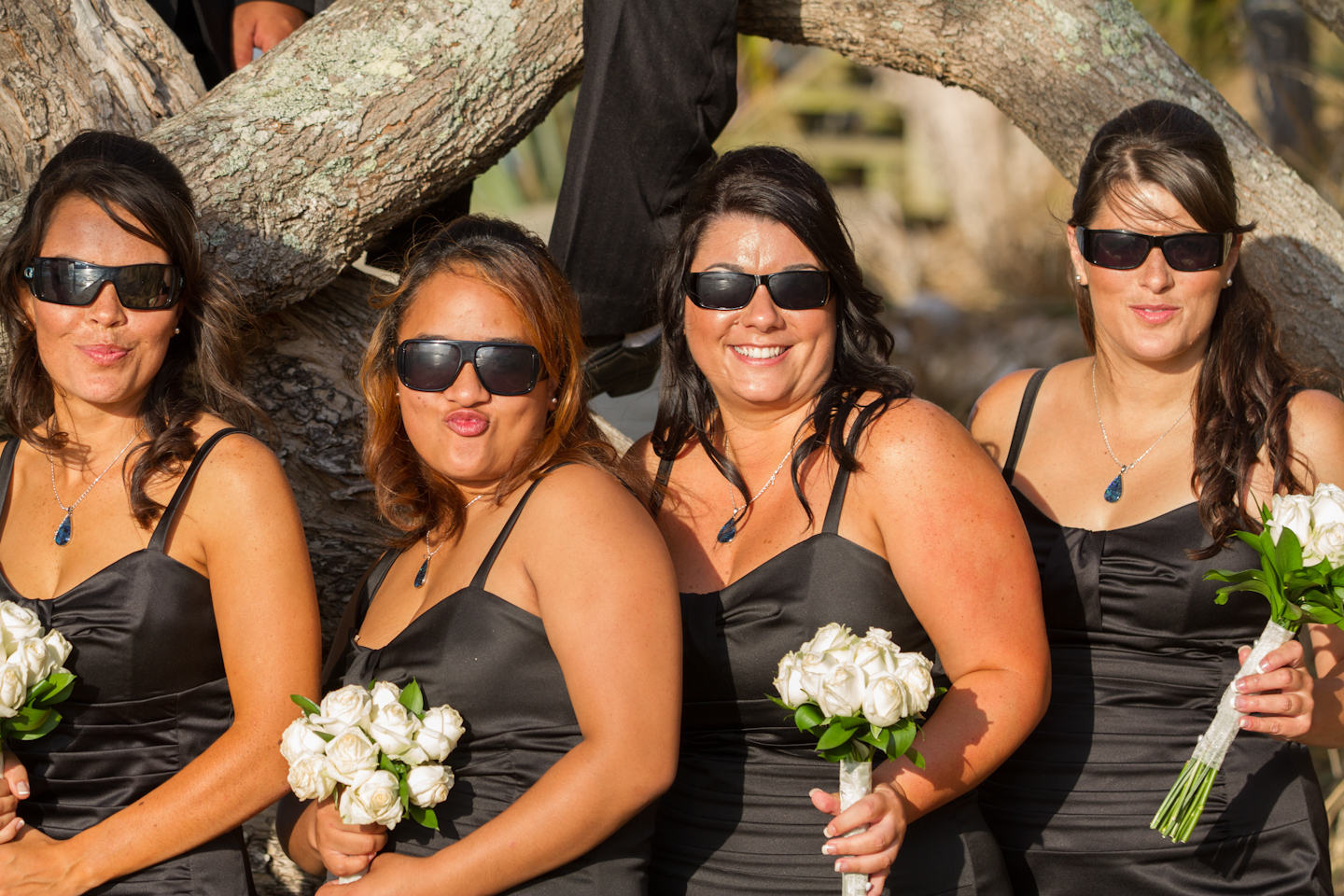 5919cb20106a58761ea43e77195eba90