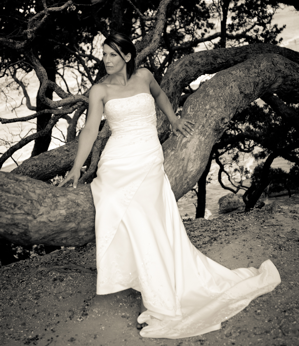 f5374d3ea24a61b5ed52aa6ec9b5811e